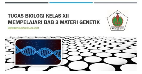 TUGAS BIOLOGI KELAS XII MEMPELAJARI BAB 3 MATERI GENETIK - BSB