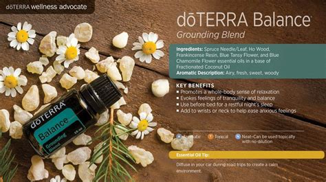 Amestecul De Uleiuri Esentiale Balance De La Doterra Spanda Naturals