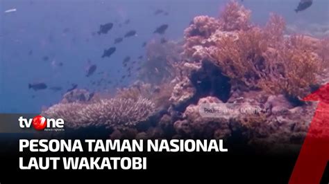 Taman Nasional Wakatobi Kekayaan Nusantara Manusia Nusantara Youtube