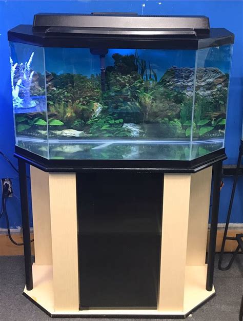35 Gallon Flatback Half Hexagon Aquarium Fish Tank Complete 200 For