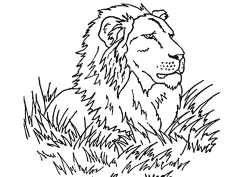 Printable Lion Face Coloring Pages Visit Dltks Lions Crafts And