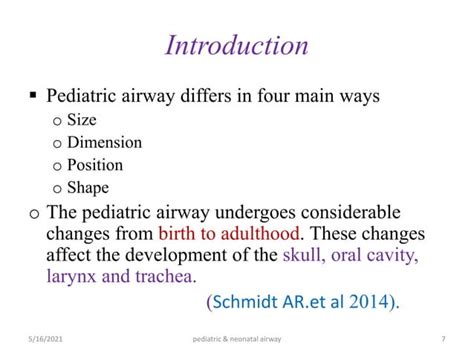 Pediatrics Airway Anatomy Ppt