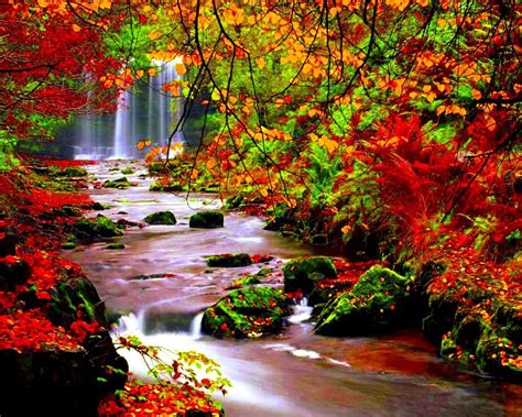 Autumn Scenery Stream River In Autumn Trees With Red