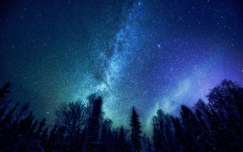 ❤ get the best stars in the sky wallpaper on wallpaperset. Wallpaper : 2880x1800 px, Milky Way, nature, stars, trees ...