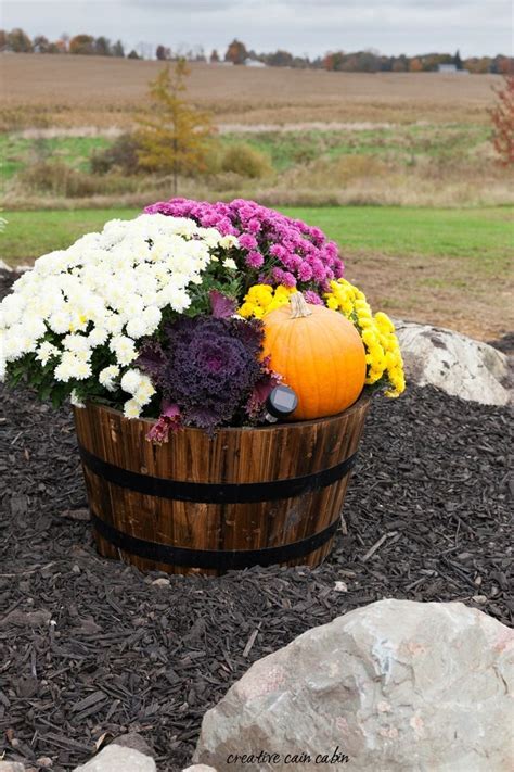 Whiskey Barrel Decorate For Fall Using Mums Pumpkins And Kale With A Small Solar Landscape
