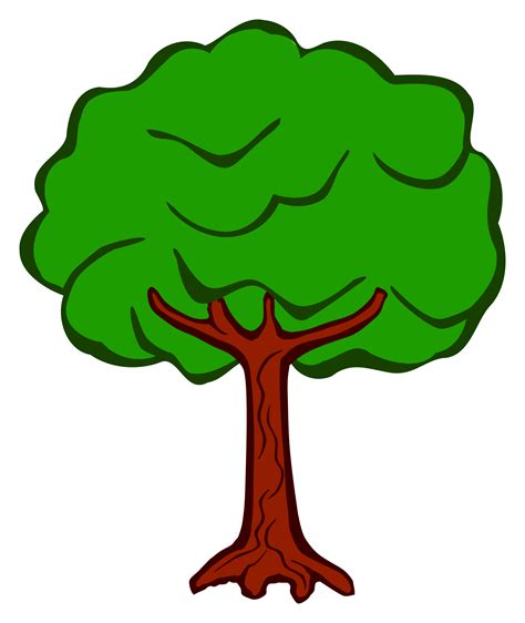 Check out these tree pictures at howstuffworks. Tree clipart printable, Tree printable Transparent FREE ...