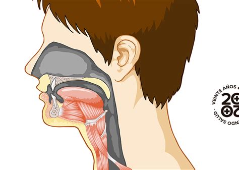 Simple Science: How to Make a Volcano with Kids