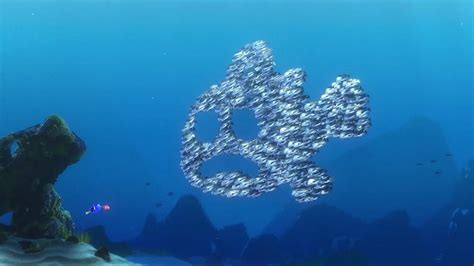 Fish Parenting And Disability Finding Nemo