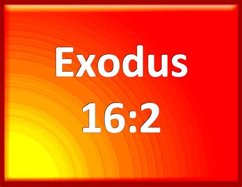 Exodus 162 And The Whole Congregation Of The Children Of Israel