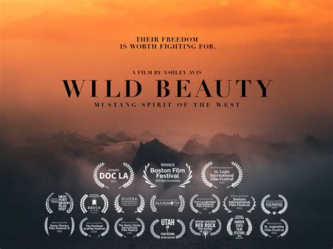 Wild Beauty Documentary Explores Controversial Wild Horse Issues