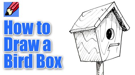 Word drawings, draw birds, cartoon birds, draw a bird from word bird. How to draw a Bird Box Real Easy - YouTube