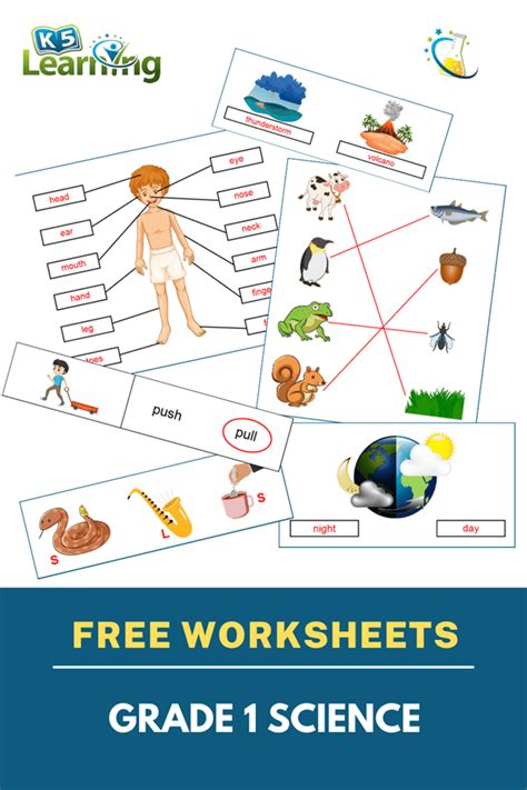 Science Worksheets Grade 1 Worksheets For Kindergarten