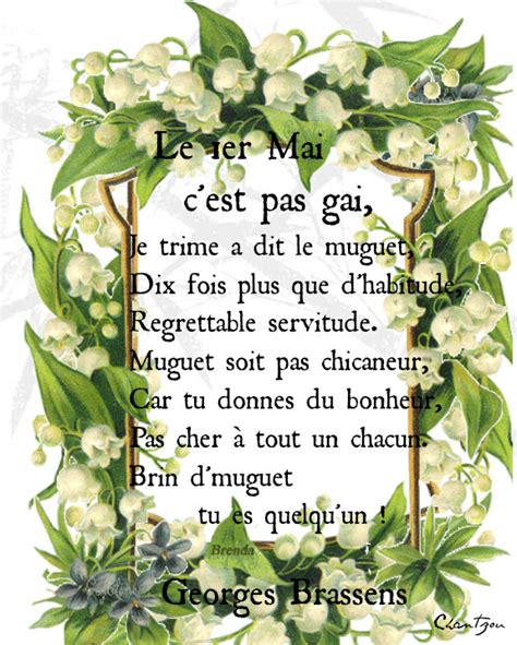 Convallaria majalis • muguet commun, muguet. Muguet