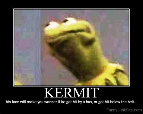 Funny Kermit Pictures Kermit His Face Will Make You Wander