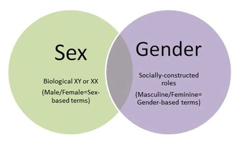 Pdf Grabbefunde Zwischen Sex Und Gender My Xxx Hot Girl
