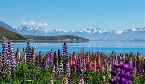 9 Of The Most Beautiful Places In New Zealand Early Traveler