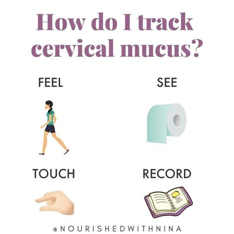 How To Properly Track Cervical Mucus · Nourished With Nina