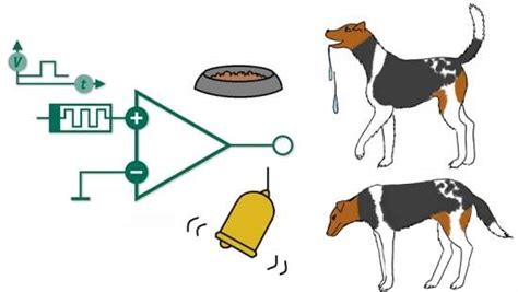 Cão De Pavlov Eletrônico Computadores Podem Aprender