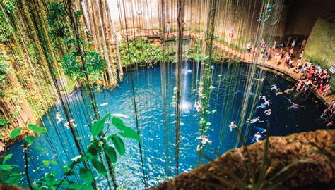 Los Cenotes Más Impresionantes De La Riviera Maya