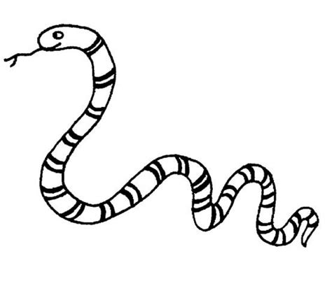 I don't think you have. Get This Online Snake Coloring Pages 43569