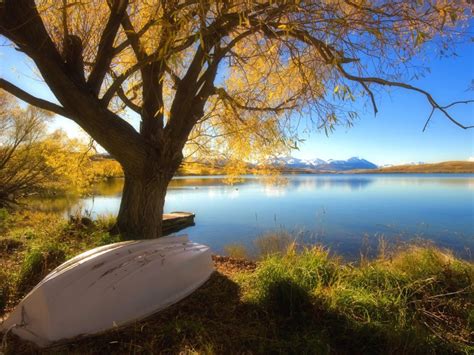 Boat Tree Lake Autumn Landscapes Hd Desktop 8631