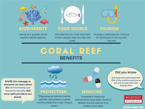 What Is The Economic Importance Of Coral Reefs For Our Planet