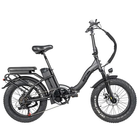 Buy Rattan 750w Electric Bike For Adults 48v 13ah Removable Battery