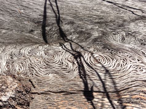 Intricate Wood Spirals Intricate Spiral Arizona