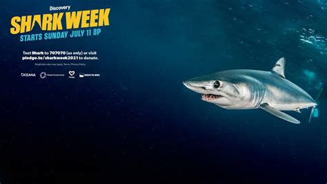Shark Week 2021 Pledge