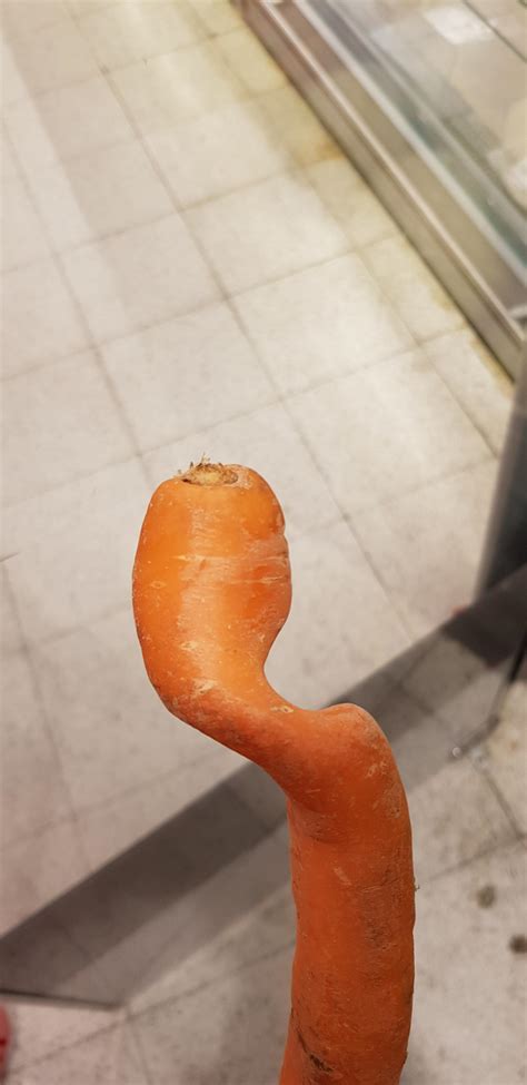 This Quirky Carrot Rmildlyinteresting