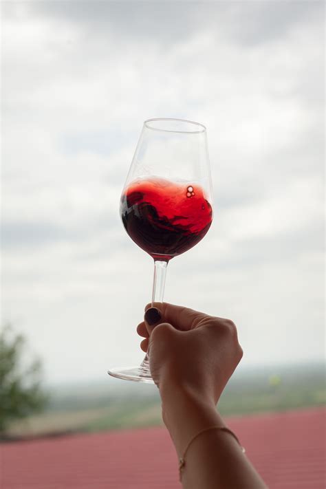 Free Stock Photo Of Domeniile Blaga Glass Of Wine Red Wine