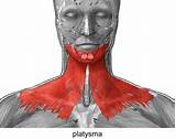 Photos of Platysma Muscle Exercises Videos