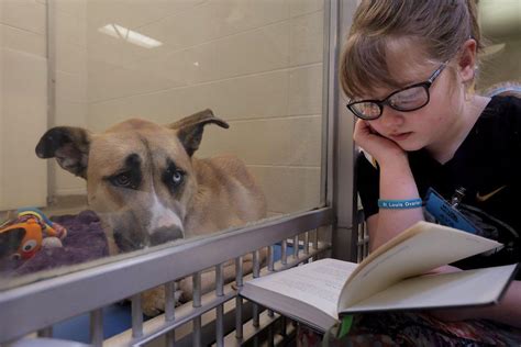 Kids Read To Shelter Dogs At The Humane Society Of Mo Local