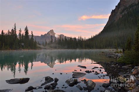 Lake Ohara And Cathedral Mountain Photograph By Lijuan Guo