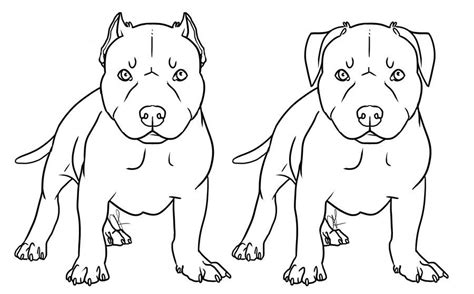 Pitbull coloring pages for adults. Pin on Animal Coloring Pages