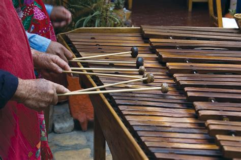 Everything You Need To Know About The Top Marimba Solos Performances