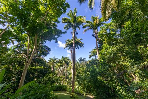 the best parks in barbados lonely planet