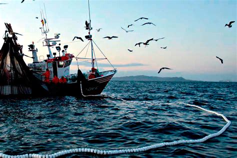 Gestión De La Pesca En Alta Mar