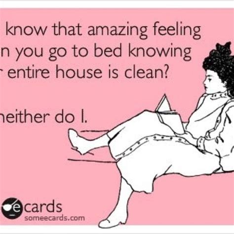 True True Cleaning Quotes Funny Funny Quotes Organization Quotes