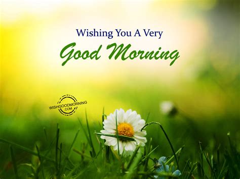 Wishing You A Very Good Morning Good Morning Pictures