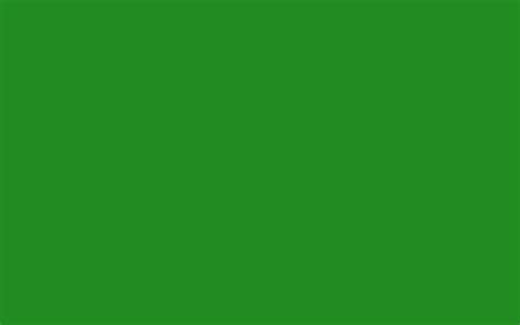 2880x1800 Forest Green For Web Solid Color Background
