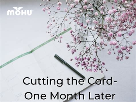 Cutting The Cord One Month Later The Cordcutter The Official Mohu Blog