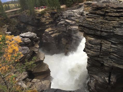 アサバスカ滝（athabasca Falls） アイスフィールド・パークウェイ アルバータ秋旅 カナダ ネタフル