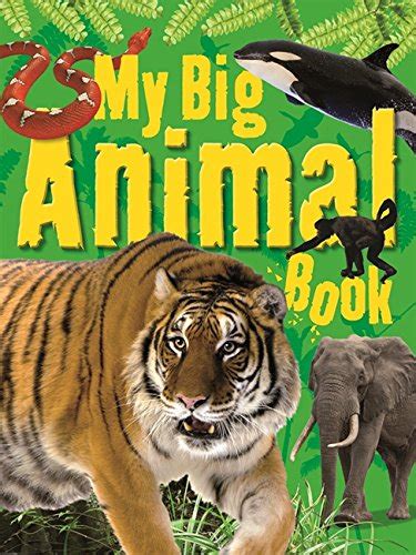 My Big Animal Book 9781848988101 Iberlibro
