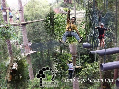 The little adventure is obviously for kids. Skytrex Adventure now in Shah Alam and Langkawi