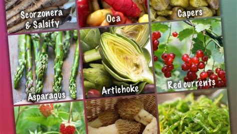Paleo Veggies Video And Infographic Rosemary Cottage Clinic Blog