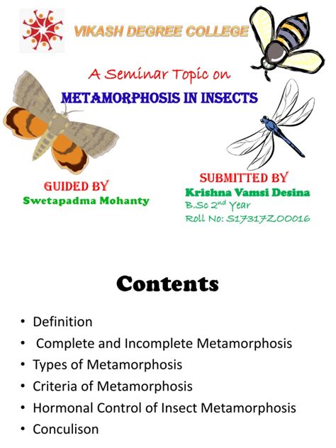 Insect Metamorphosis Pdf Pupa Insects