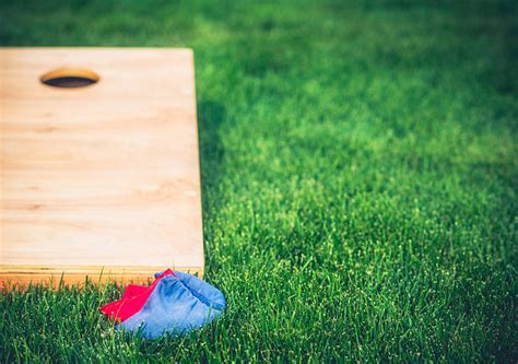 Cornhole Pictures Images And Stock Photos Istock