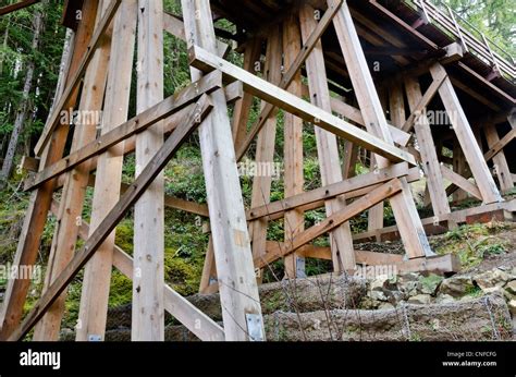 Kinsol Trestle Wooden Railroad Bridge Vancouver Island Canada On The