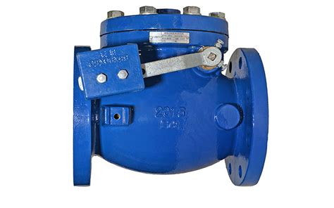 Model 93lw Swing Check Valve With Lever Flomatic Valves